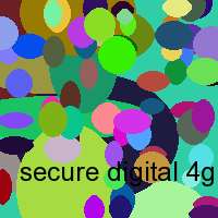 secure digital 4gb